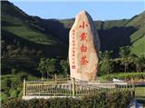 小戴白茶歡迎您 微信：15088376008