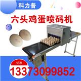 整盤雞蛋噴碼機，不需要清洗和維護的雞蛋噴碼機