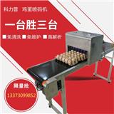 免清洗免維護的雞蛋噴碼機生產(chǎn)制造廠家