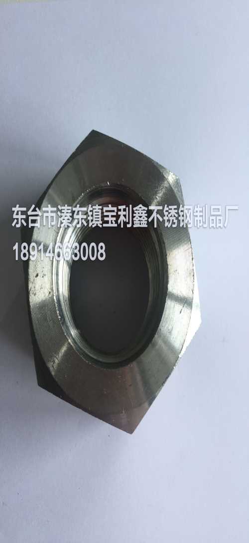 双相钢螺帽厂家-C276双相钢紧固件供应商-东台市溱东镇宝利