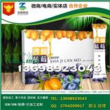 浙江自帶配方膠原蛋白藍莓固體飲料ODM備案生產(chǎn)廠家