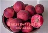 桐柏商城-桐柏-桐柏農(nóng)貿(mào)產(chǎn)品