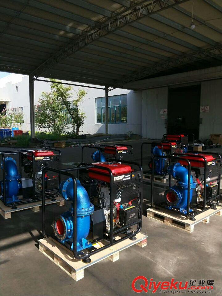 三亞市6寸鑄鐵柴油機混流泵德國翰絲