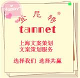項目標書編寫注意事項