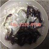 本地塘鲺魚(yú)苗批發(fā)胡子鯰魚(yú)苗批發(fā)價(jià)格塘角魚(yú)苗批發(fā)