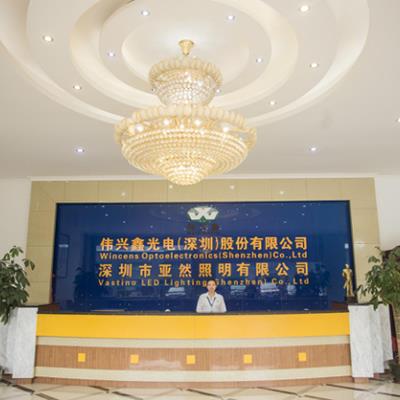 品牌伟兴鑫光电-灯珠厂家-伟兴鑫光电（深圳）股份有限公司