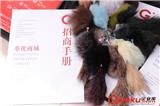 革優(yōu)商城qgsg一站式皮革（毛皮）采銷平臺，好用、放心！