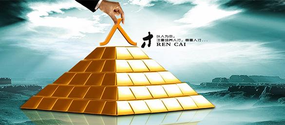 天津特殊人才引进政策-天津人才网