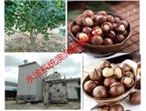 臘味臘腸烘干設備廠家