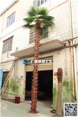 假棕櫚樹(shù)批發(fā)價(jià)格_人造棕櫚樹(shù)多少錢