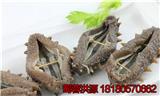 綿陽市即食海參的價格 海參的泡發(fā)