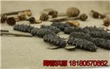 平涼市海參的價格 什么人不能吃海參