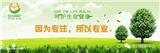 安心陪護(hù)，gd護(hù)理陪護(hù)護(hù)工