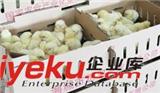 遼寧雞苗批發(fā)廠家哪家好？