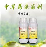 蘋果銀葉病危害癥狀-濰坊奧豐青枯立克