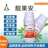 櫻桃根腐病防治案例-濰坊奧豐青枯立克