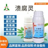 櫻桃xj性穿孔病防治技巧-濰坊奧豐青枯立克