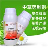 草莓枯黃萎病妙招-濰坊奧豐靚果安