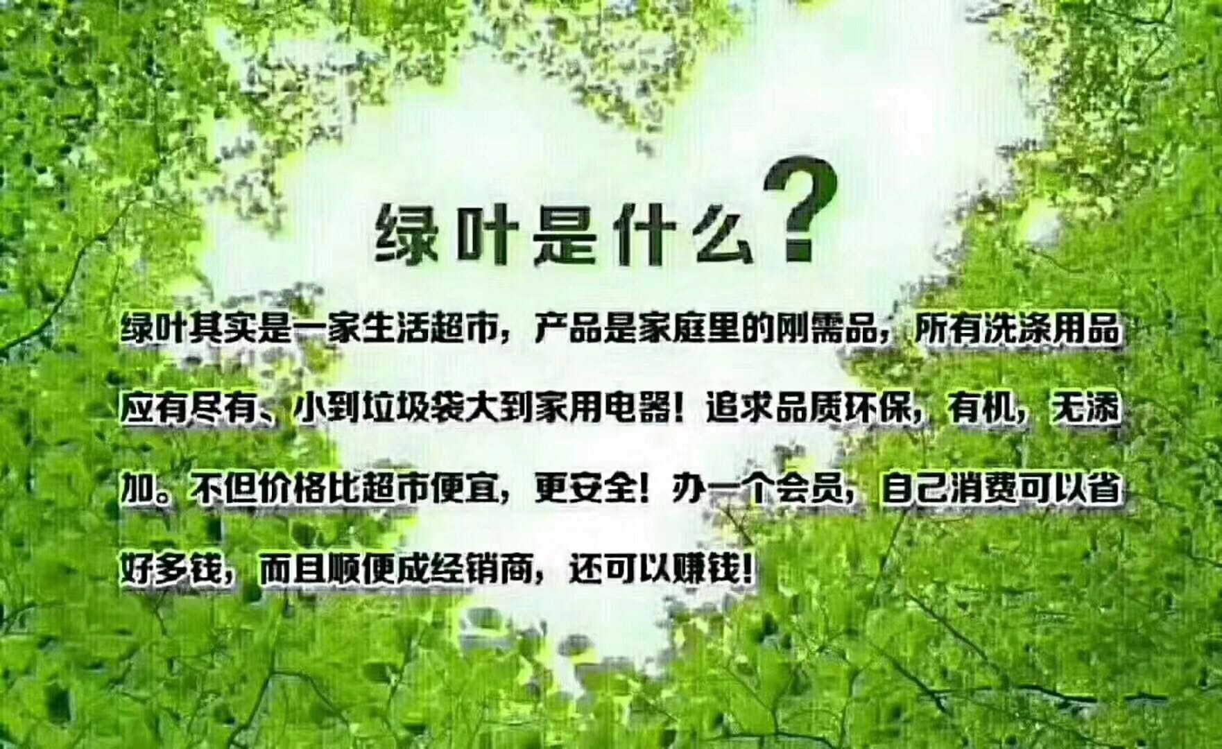 苏州绿叶好不好做呢