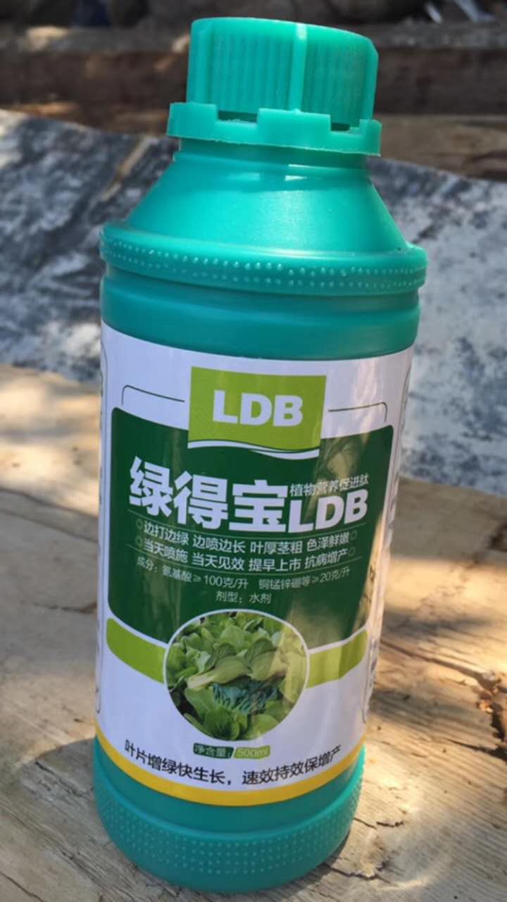 绿得宝 促进植物生长 边打边绿，边喷边长，叶厚茎粗，色泽鲜嫩