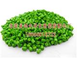 石碣鎮(zhèn)西南村色種廠