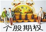國內(nèi)期權(quán)的發(fā)展介紹？