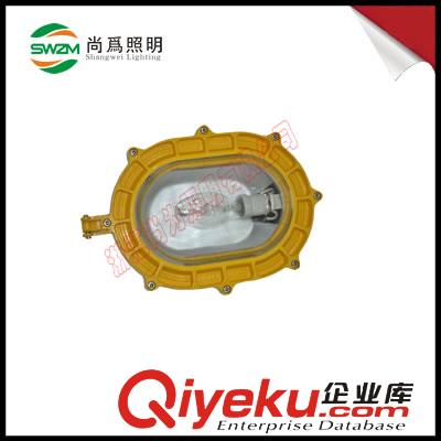 直销SW8100防爆泛光灯 ~ 特价甩卖  浙江
