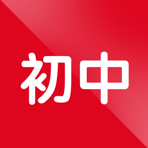 初中教学瓶颈优质课