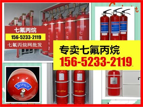 手提式七氟丙烷厂