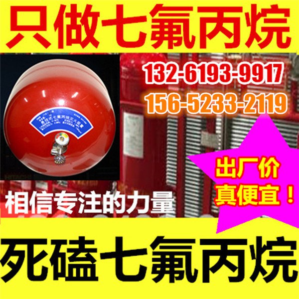 3kg手提七氟丙烷灭火装置