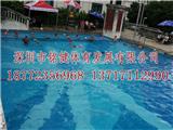 深圳龍崗碧湖玫瑰園泳池地址電話
