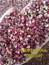 陜西花椒苗_買花椒苗