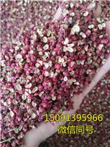 什么花椒苗好_渭南花椒苗