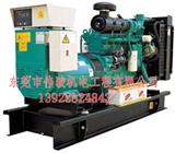 惠州發(fā)電機(jī)組租賃