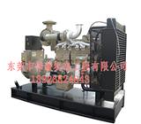 揭陽(yáng)發(fā)電機(jī)出租_揭陽(yáng)租賃發(fā)電機(jī)