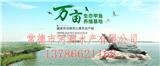 蚌埠甲魚價(jià)格