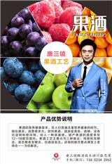 常平燒酒設(shè)備廠家【唐三鏡張思漫】