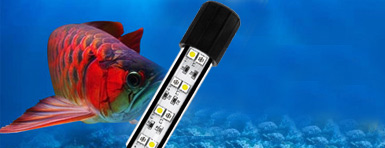 水族灯