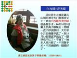 康立康醫(yī)視負離子眼鏡招商加盟代理