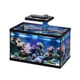 Aquatic landscape skills you need to know