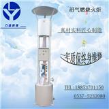 沼氣廢氣處理用沼氣火炬一步到位