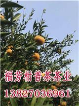 新會柑普茶加工廠家_桔普茶多少錢一斤_御廣陳廠家加工批發(fā)零售
