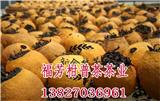 新會柑普茶代加工_什么牌子的新會柑普茶好_御廣陳廠家加工批發(fā)零售