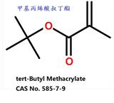 廠家直供 甲基丙烯酸叔丁酯
