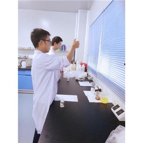 研发团队