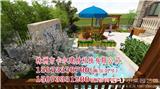 湘潭園林景觀施工株洲卡爾建材， 小菜園藝