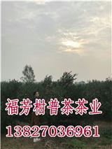 新會(huì)小青柑代工廠_新會(huì)小青柑價(jià)格_御廣陳廠家批發(fā)零售