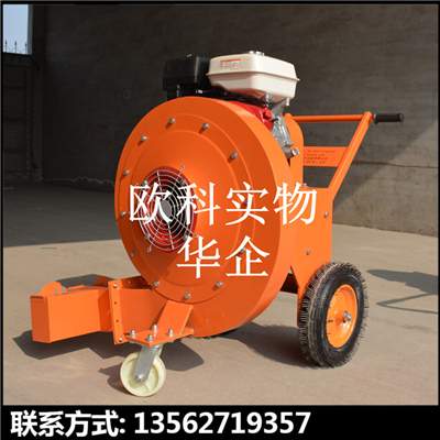 手推式工程用吹風(fēng)機(jī) 大風(fēng)量灰塵清理瀝青路面吹風(fēng)機(jī) 混凝土路面吹風(fēng)機(jī)
