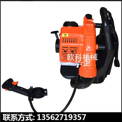  背負(fù)式吹風(fēng)機(jī) 園林吹風(fēng)機(jī) 便攜式馬路吹風(fēng)機(jī)