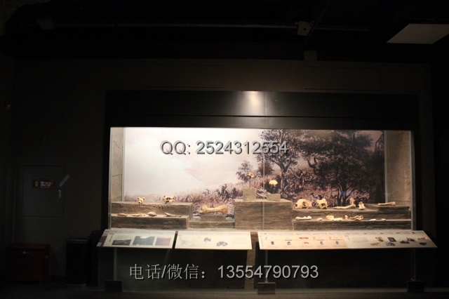 平移門博物館展柜生產(chǎn)廠家，博物館延墻高柜效果，博物館延墻通柜尺寸